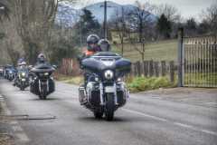 IMG_8517photo