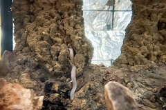 IMG_0005photo