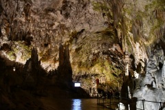 IMG_0020photo