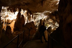 IMG_0032photo