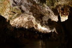 IMG_0054photo