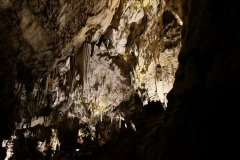 IMG_0066photo