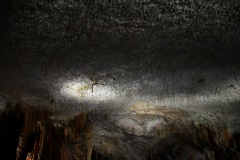 IMG_0072photo