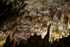 IMG_0083photo