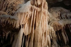 IMG_0085photo