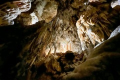 IMG_0109photo