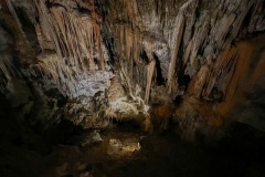 IMG_0139photo