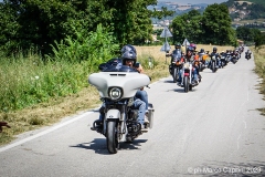 IMG_4438photo