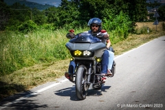 IMG_4579photo