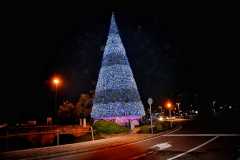 IMG_7537photo