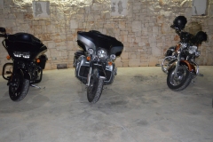 IMG_0805photo