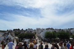 IMG_0962photo
