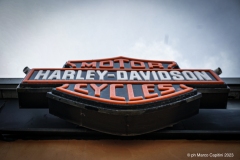 IMG_6815photo