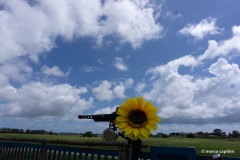 image00020