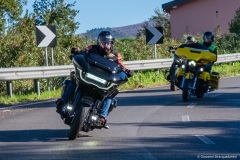 IMG_3131