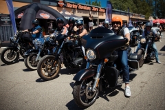 ART_6891