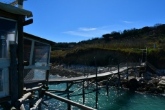 IMG_8285photo