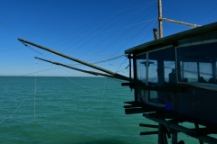 IMG_8310photo