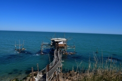 IMG_8335photo