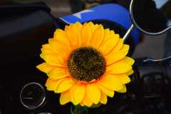IMG_8922photo