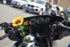 IMG_8984photo