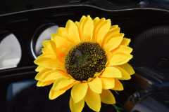 IMG_9001photo