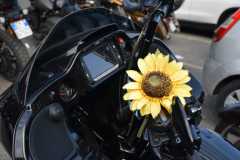 IMG_9005photo