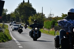 IMG_2982photo
