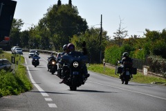 IMG_2988photo