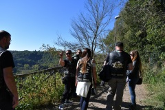 IMG_2990photo