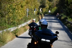 IMG_2991photo