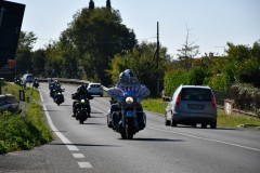 IMG_2994photo