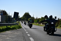 IMG_2996photo