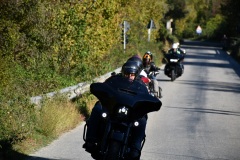 IMG_2998photo