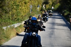 IMG_3002photo