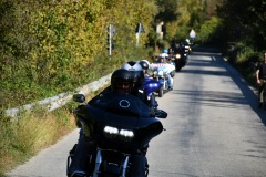 IMG_3007photo