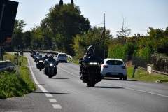 IMG_3009photo