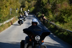IMG_3010photo