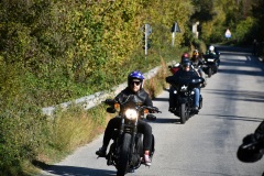 IMG_3012photo