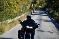IMG_3016photo