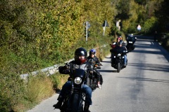 IMG_3017photo