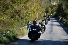 IMG_3020photo