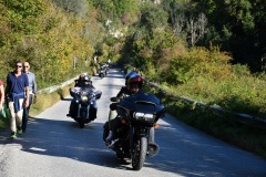 IMG_3021photo