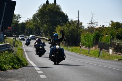 IMG_3024photo