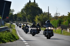 IMG_3028photo