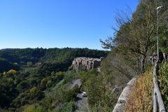 IMG_3030photo