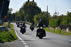 IMG_3034photo