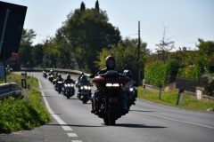 IMG_3038photo