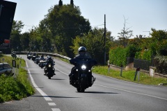 IMG_3047photo