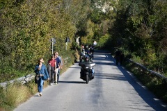 IMG_3051photo